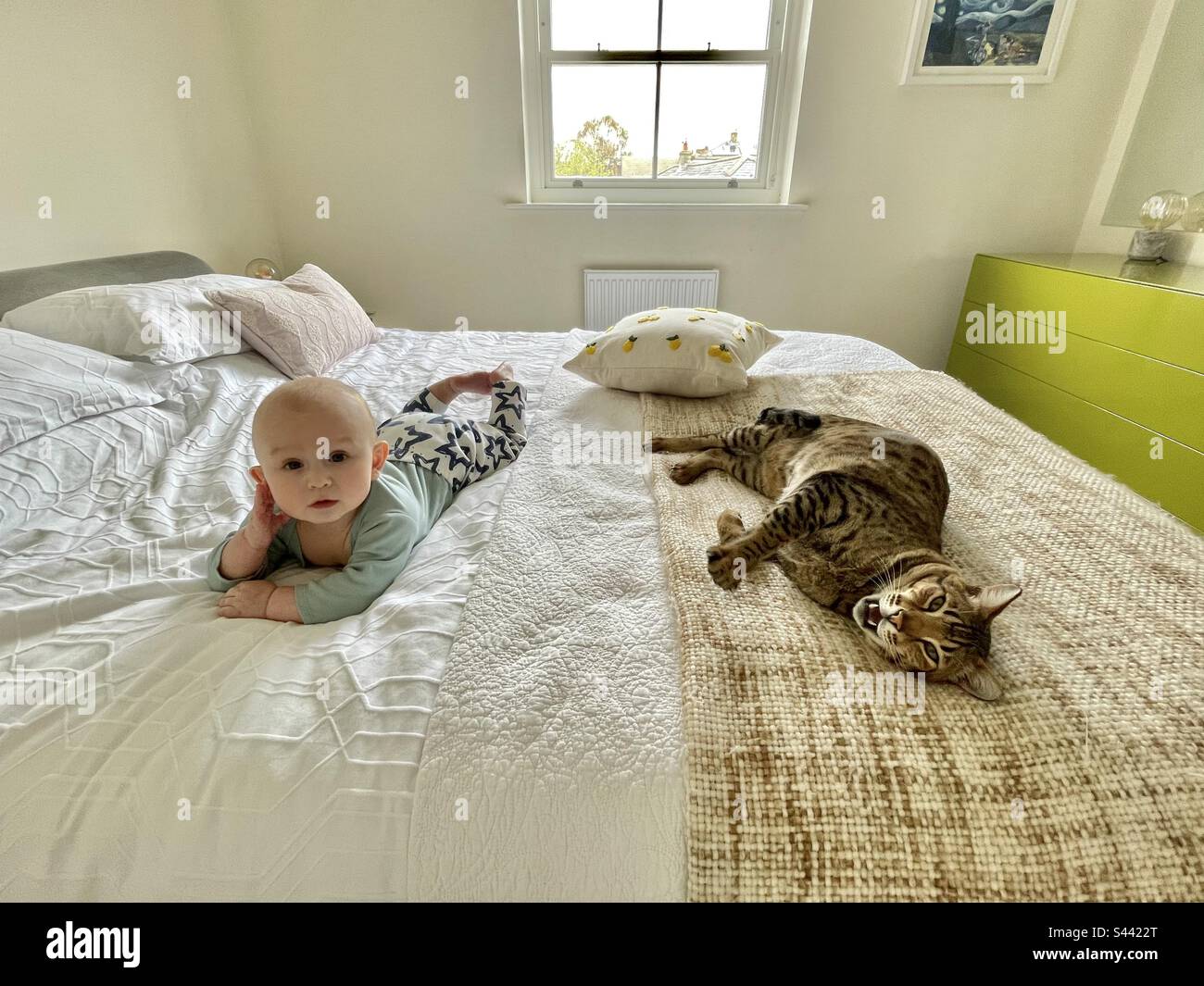 Sasha Boy und Benjamin die Katze - Smartphone-aufgenommenes Stockfoto