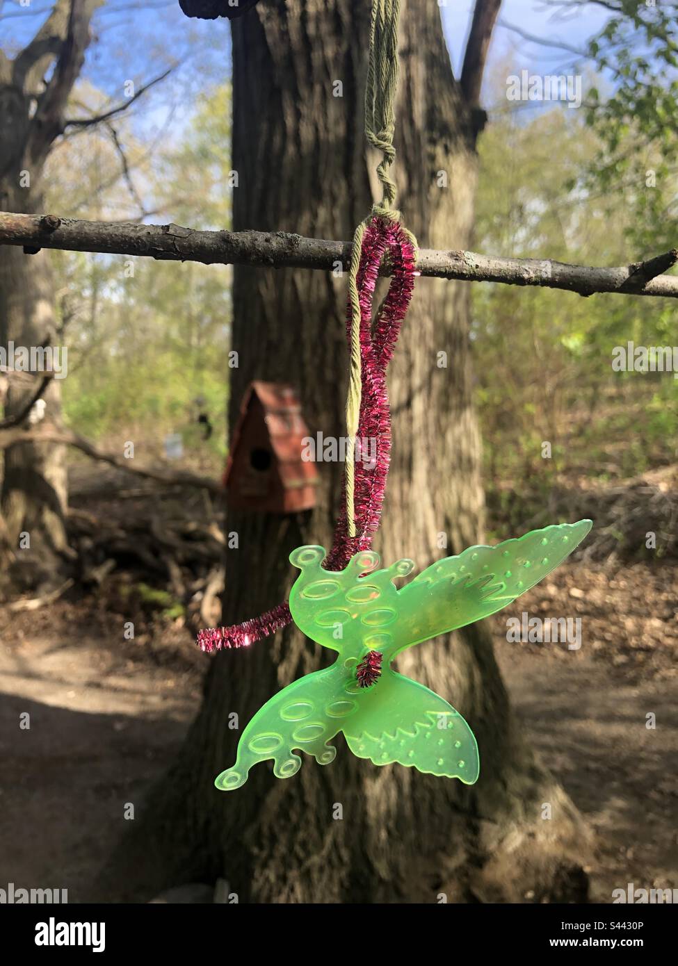 Ein grüner Schmetterlingsschmuck, der an einem Zweig im Wald hängt. Stockfoto