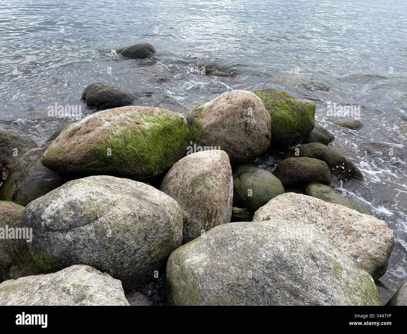 Steinen im Wasser Stockfoto