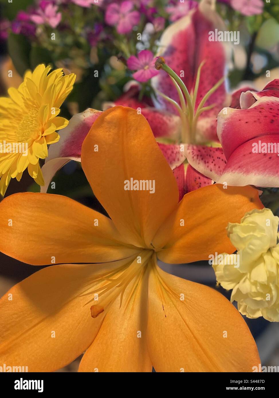Orange und Rosa Lilien, Pistils und Stäbe, gelbe Gänseblümchen und Nelke Stockfoto