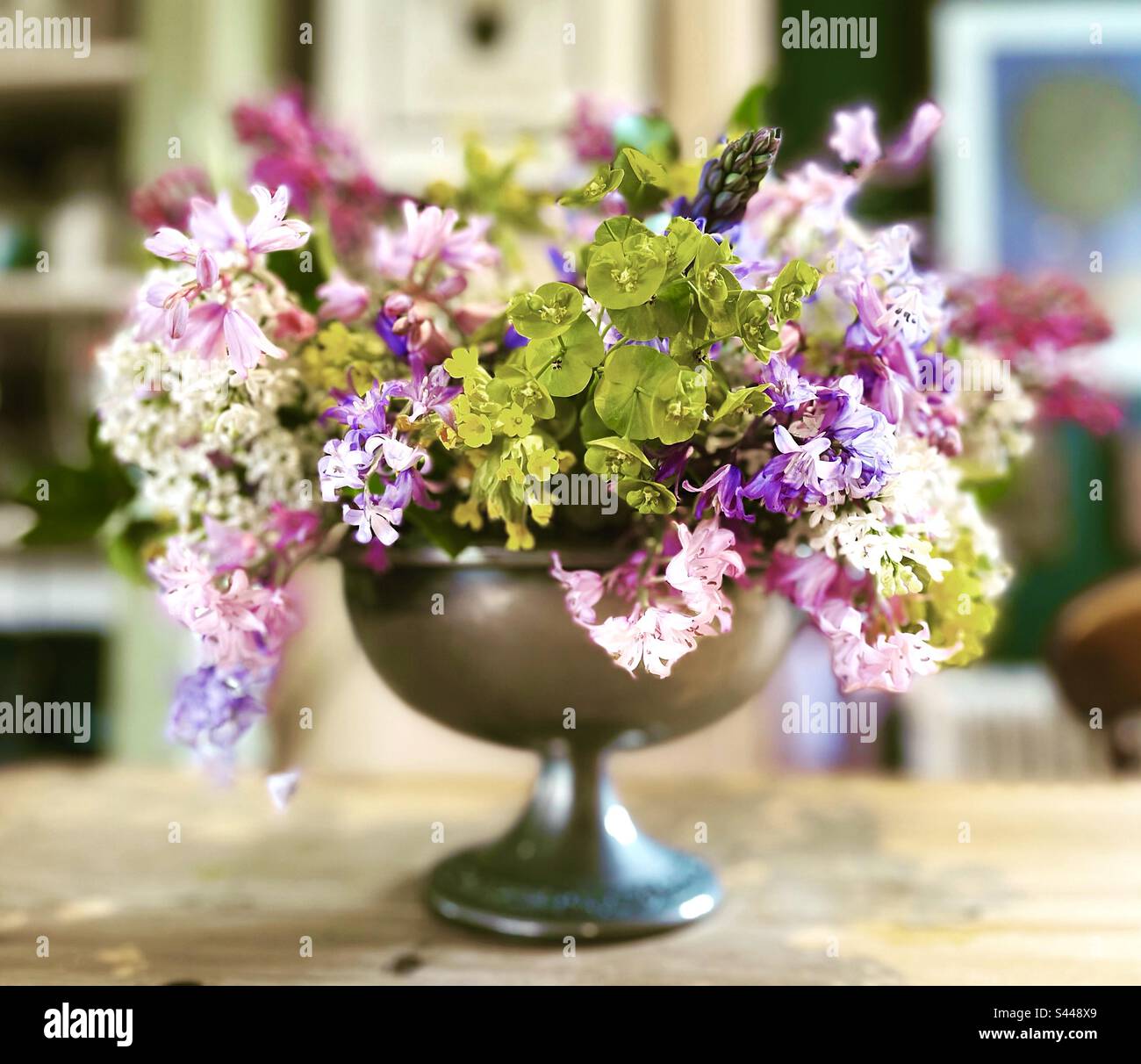 Silberne ornförmige Sockelvase aus Frühlingsblumen Stockfoto