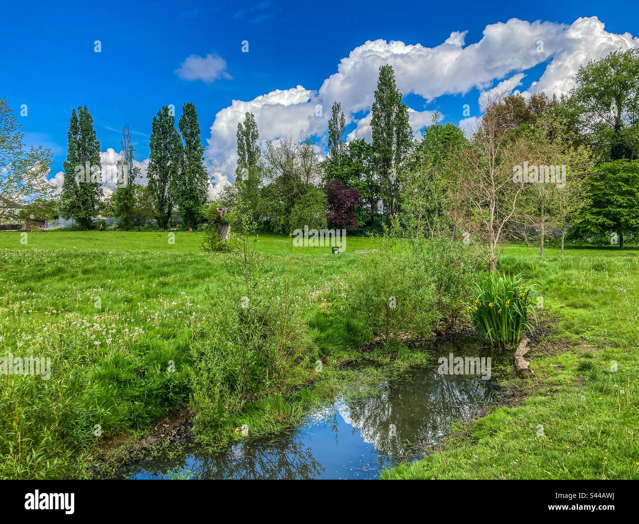 Ladywell Fields Park, Lewisham Stockfoto