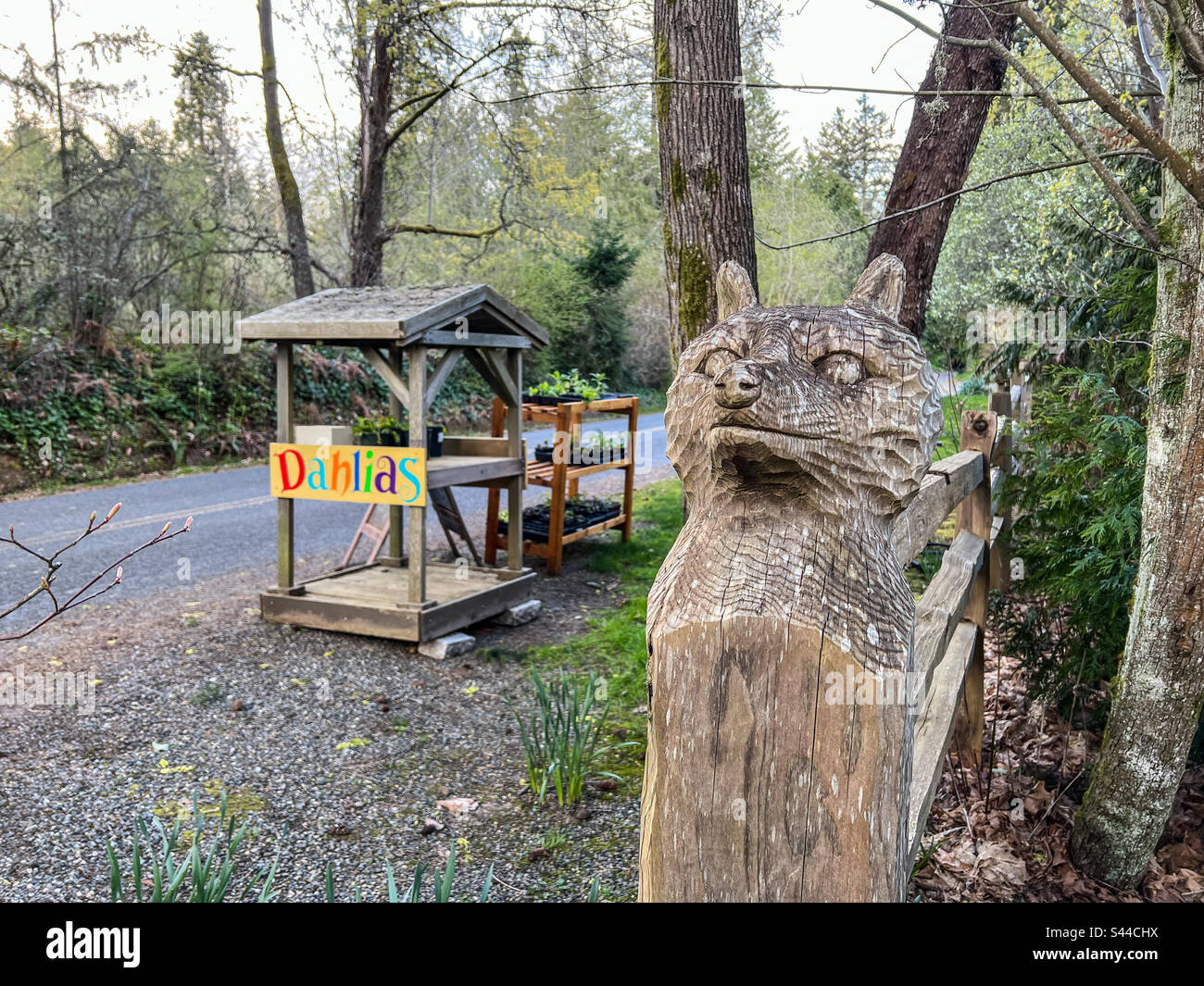 Blumenstand am Straßenrand auf Bainbridge Island im Bundesstaat Washington Stockfoto
