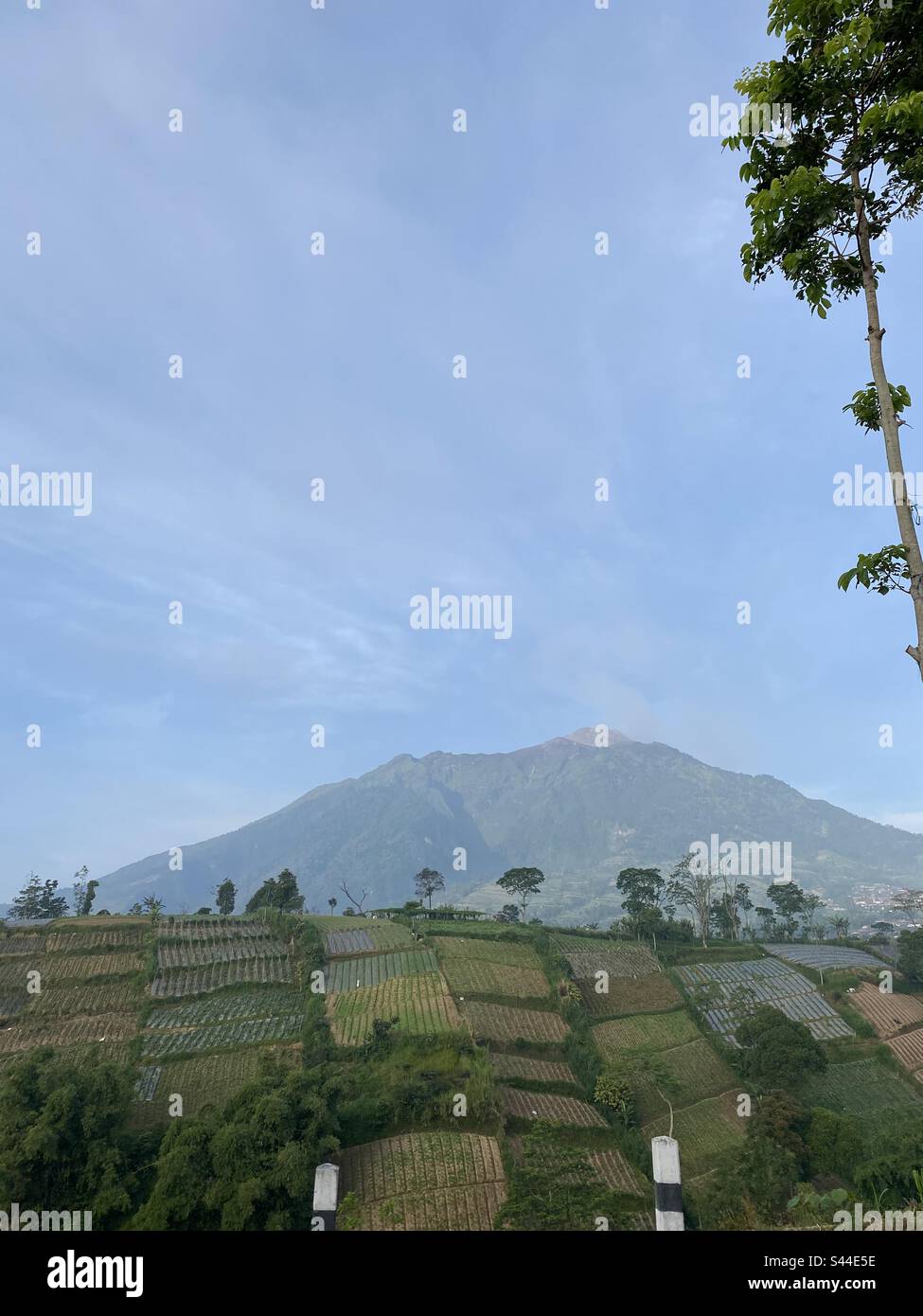 Merapi Vulkan von Boyolali Stockfoto