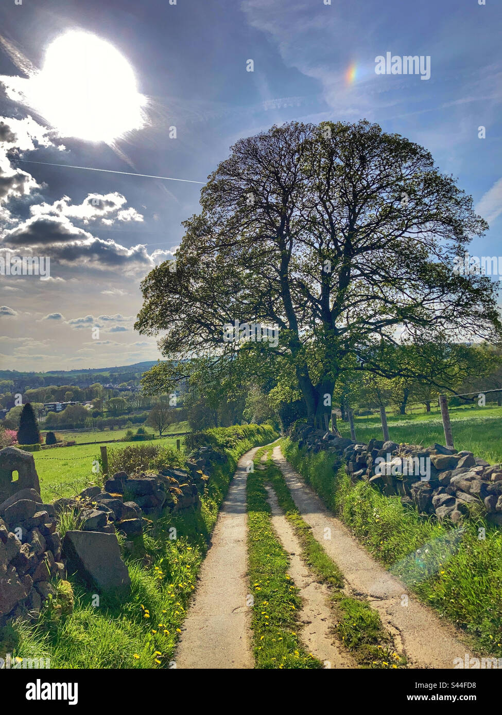 Fee Dell Guiseley West Yorkshire Stockfoto