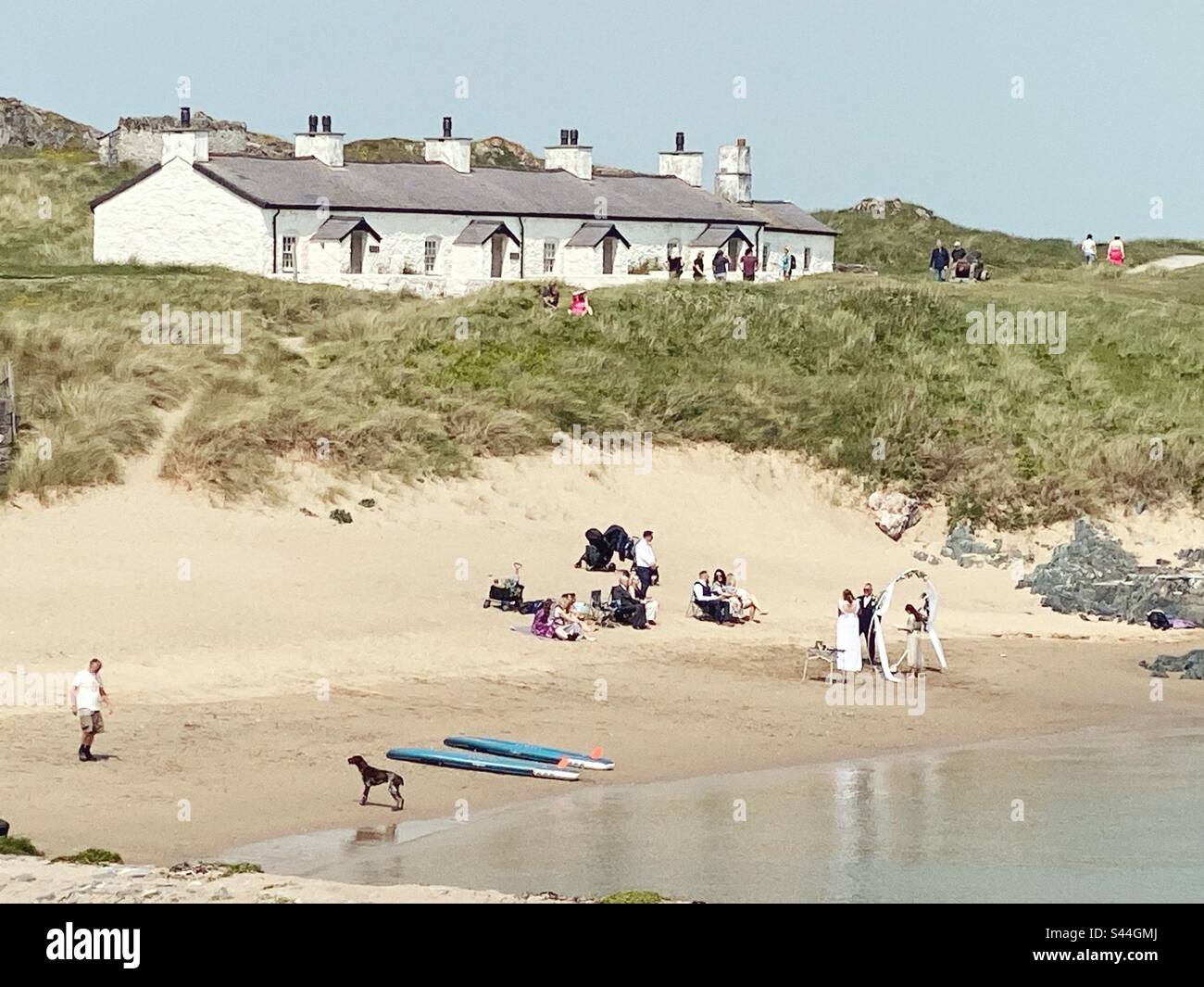 Hochzeit an einem Strand in Pilot's Cove, Llandwyn Island, Newborough, Anglesey, Nordwales - Smartphone-aufgenommenes Stockfoto