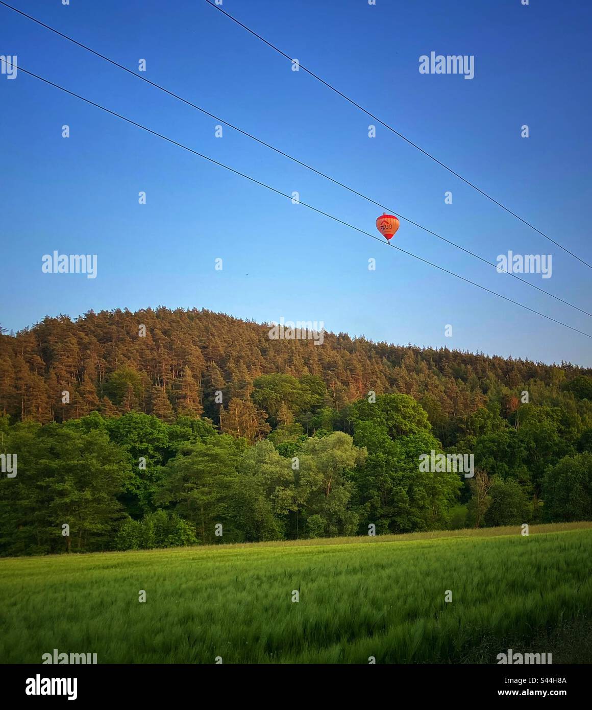 Luftballon über Wald und Feldern Stockfoto