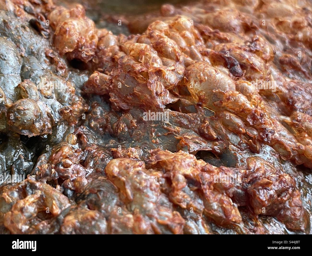 Nahaufnahme von schlammigen Blasen Stockfoto