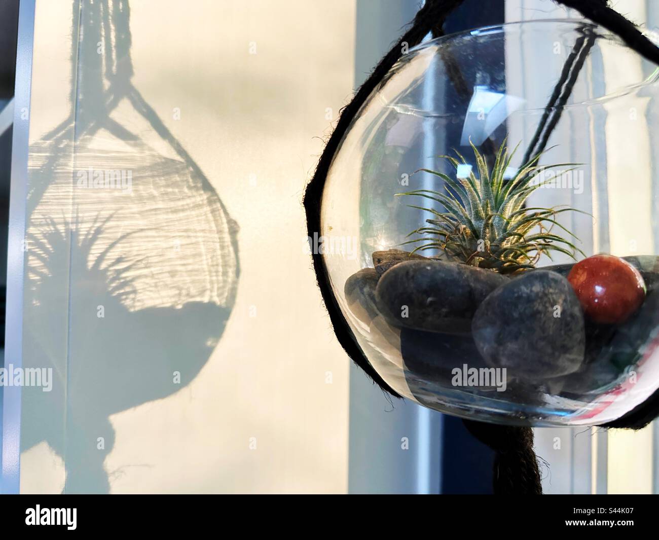 Eine Luftanlage in einer Glaskugel in einem Fenster. Stockfoto