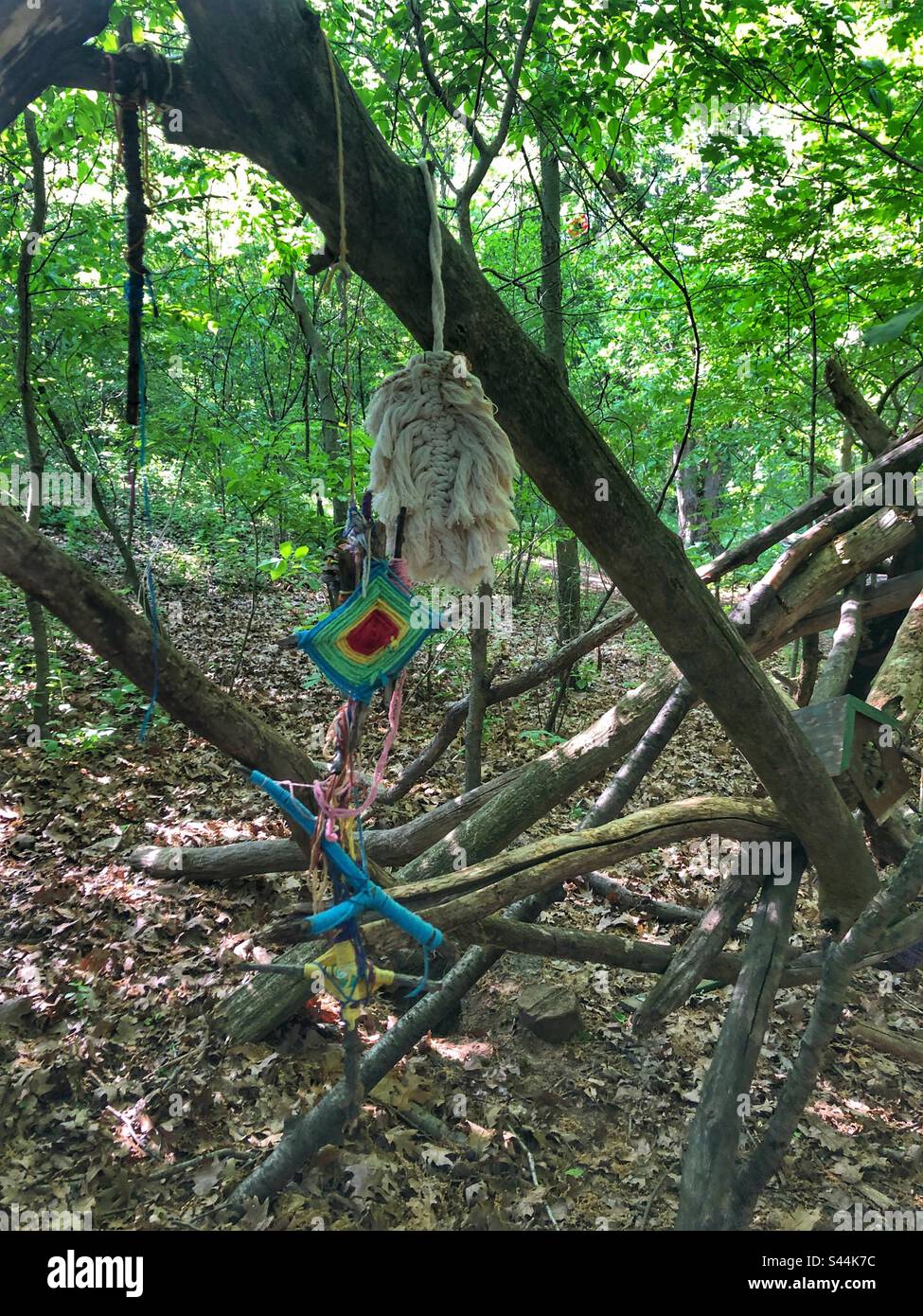 Kunst im Park. - Smartphone-aufgenommenes Stockfoto