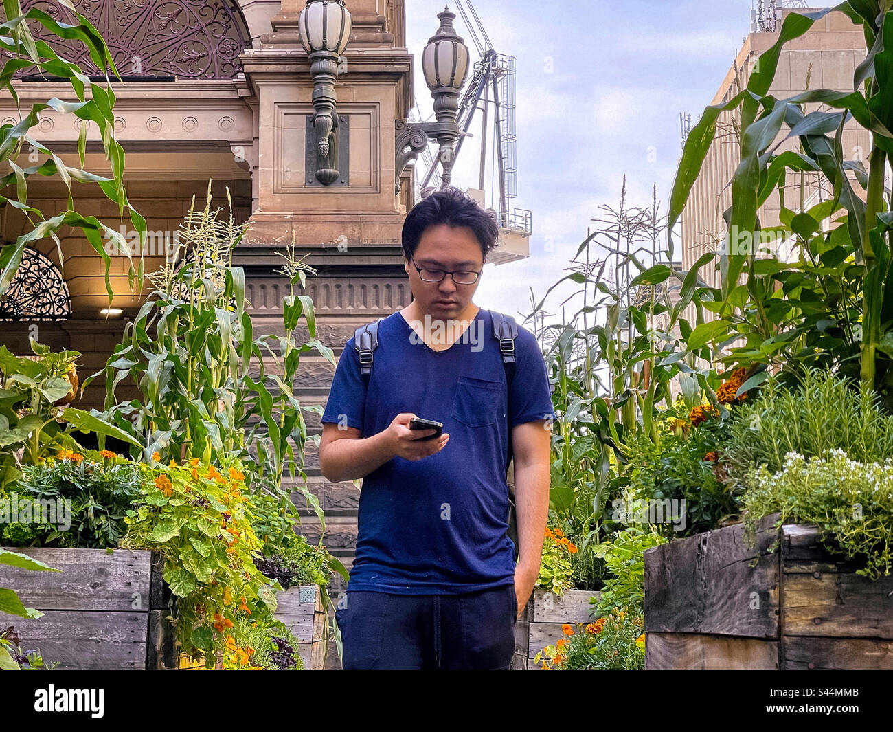 Junger asiatischer Mann, der Handy benutzt, während er zwischen Kästen mit blühenden Pflanzen steht, die an Gebäuden der Stadt und am Himmel angebaut werden. Stockfoto