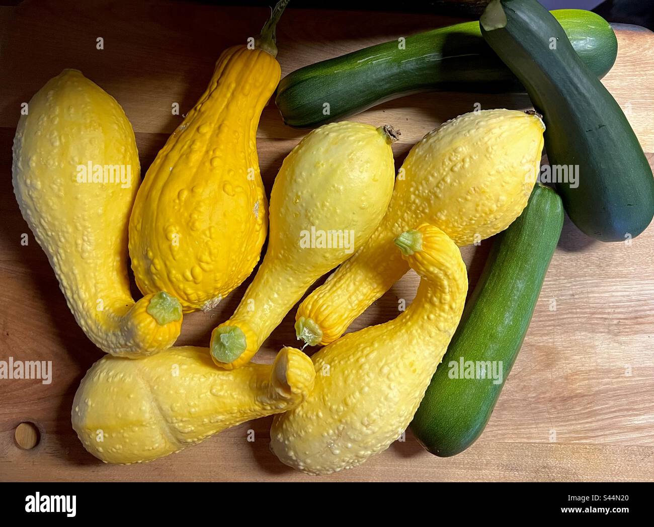 Frisches Gemüse im Garten Stockfoto