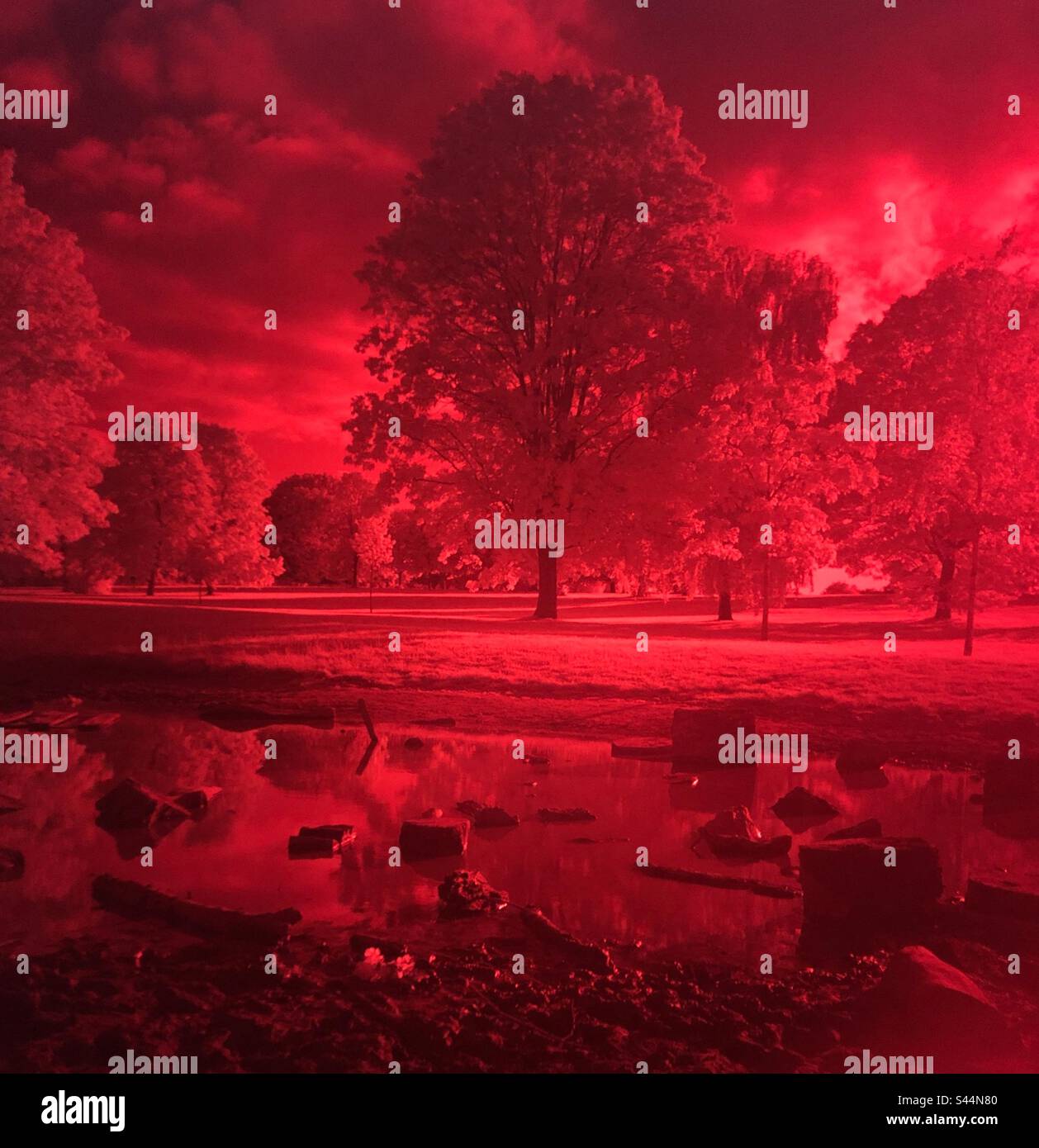 Infrarotbild eines Parks in London Stockfoto