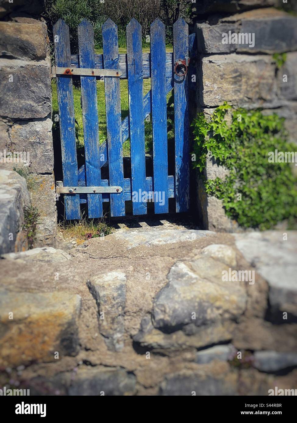 Altes blaues Holztor in einer Natursteinmauer mit Efeu. Stockfoto