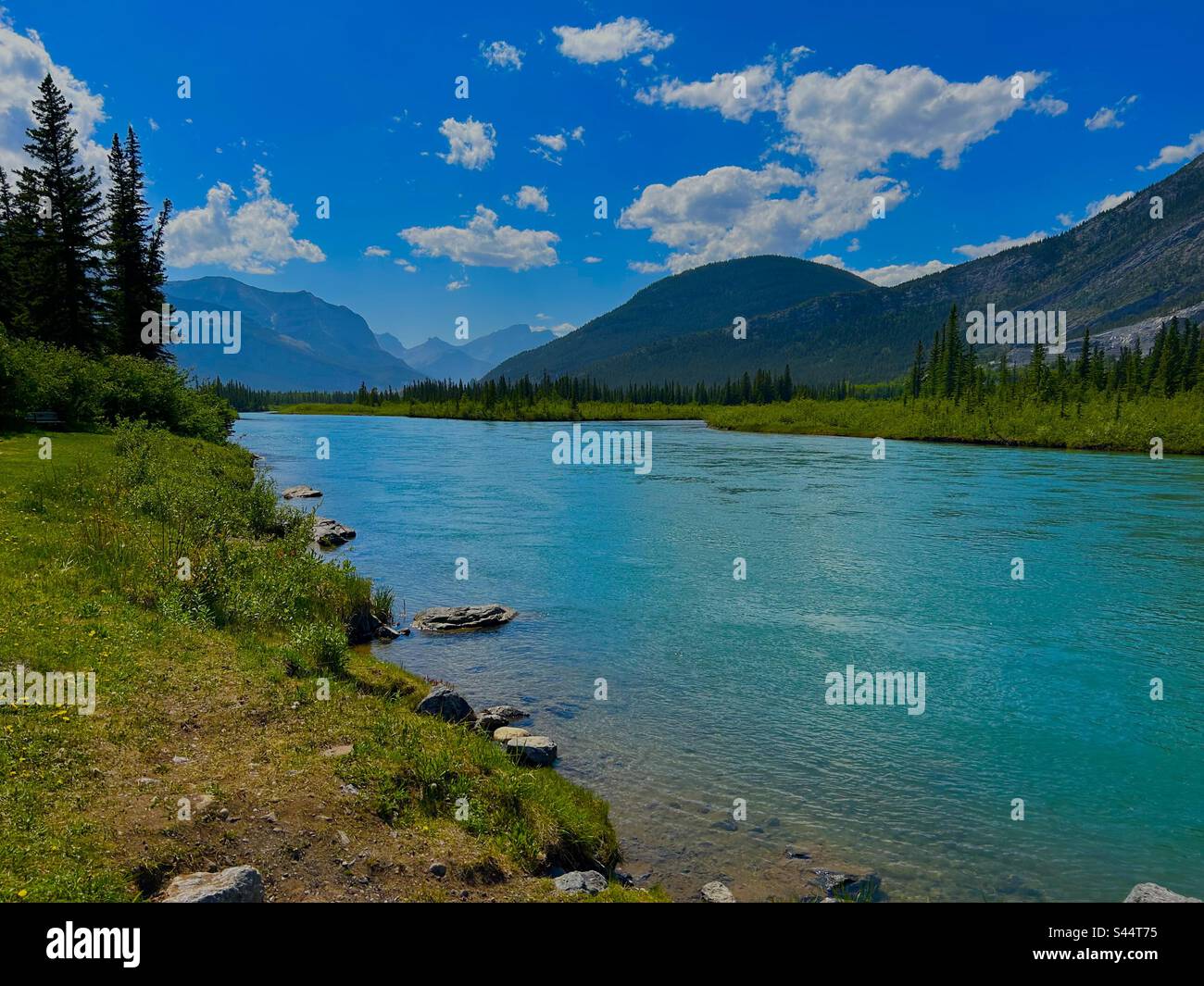 Bow Valley Provincial Park, Kanadische Rockies, Bow River Stockfoto