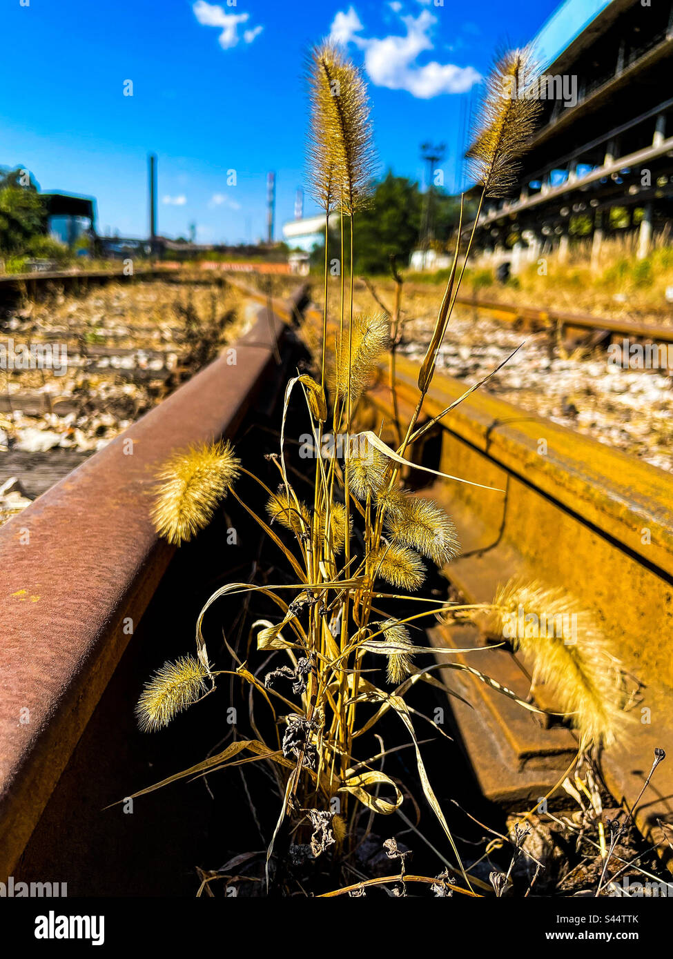 Bahngleisen - Smartphone-aufgenommenes Stockfoto