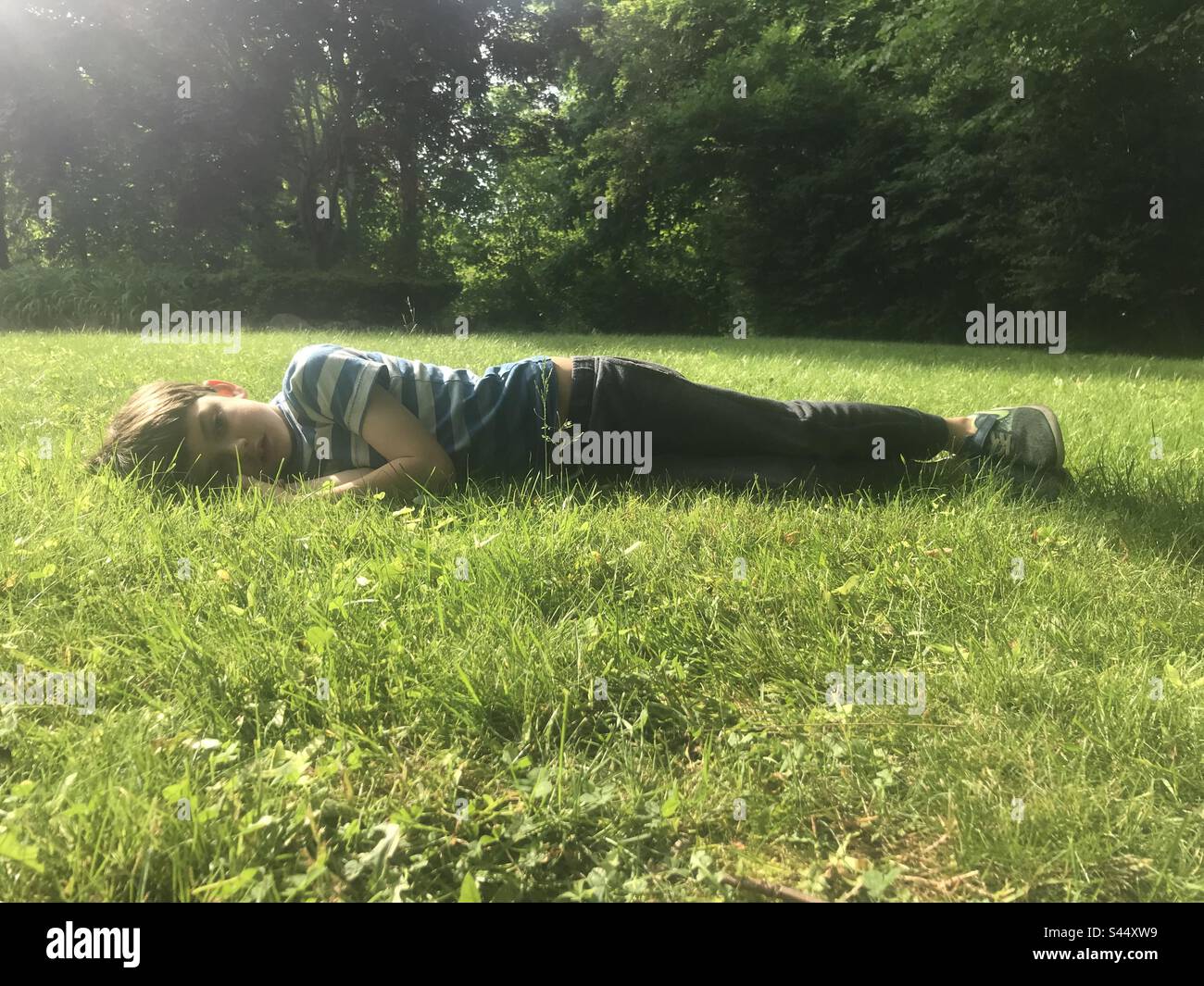 Ein junger Junge träumt an einem Sommertag auf einem grünen Feld. Stockfoto