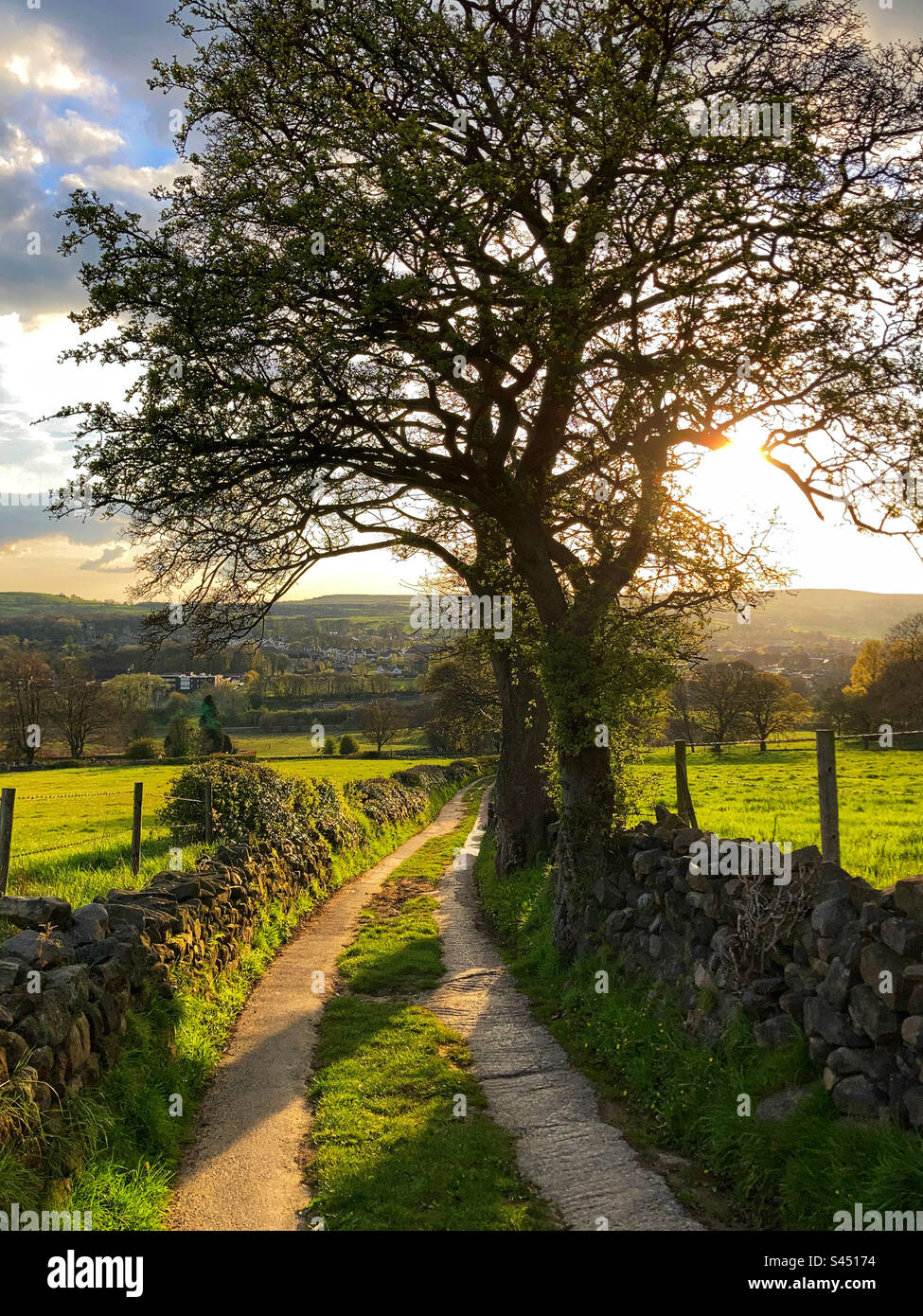 Fairy Dell Bridleway Guiseley West Yorkshire Stockfoto