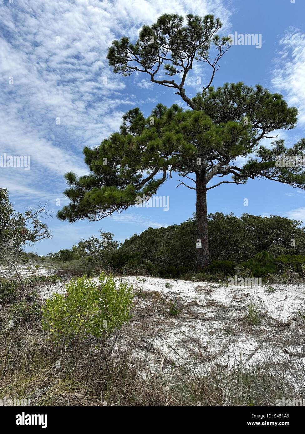 Schutzgebiet in Fort Walton Beach, Florida Stockfoto