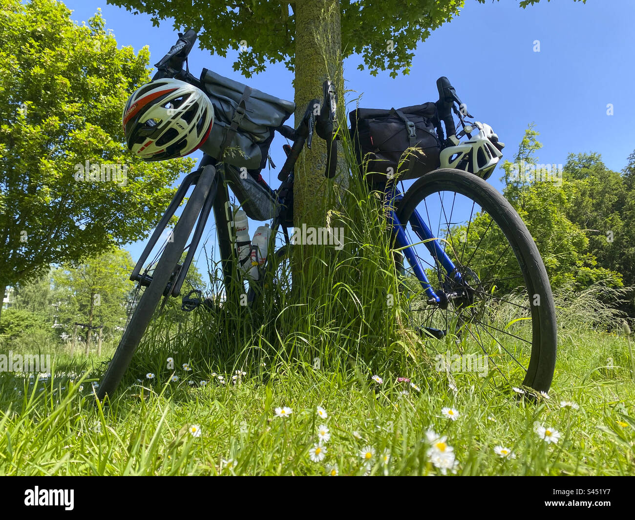 Zwei Fahrräder stehen an einem Baum in einem Park - Smartphone-aufgenommenes Stockfoto