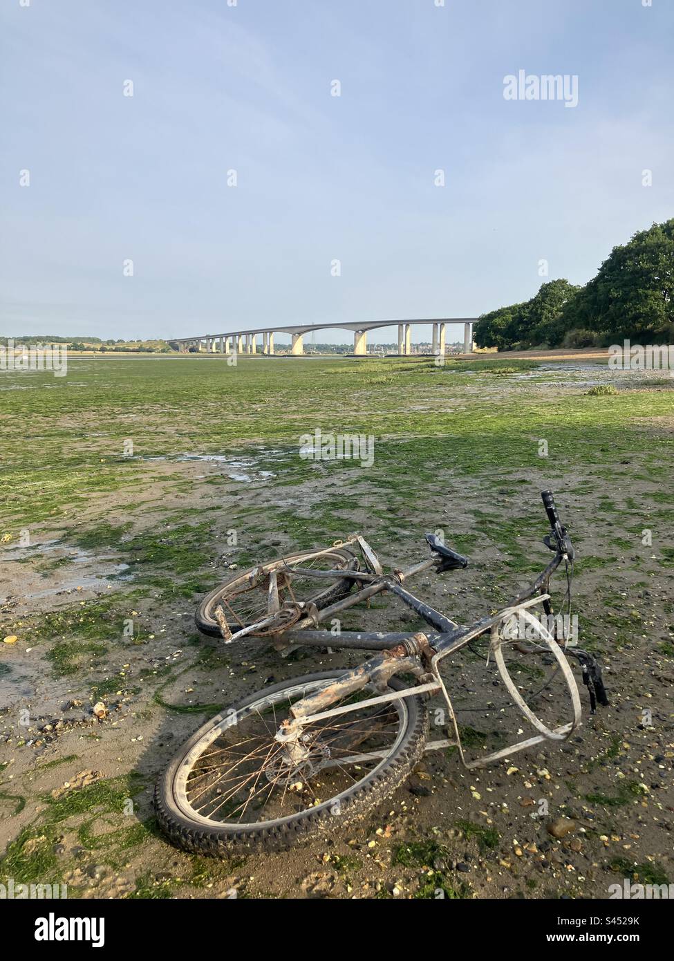 Verlassenes Fahrrad unter der Orwell Bridge, Ipswich, Suffolk, Großbritannien. Stockfoto