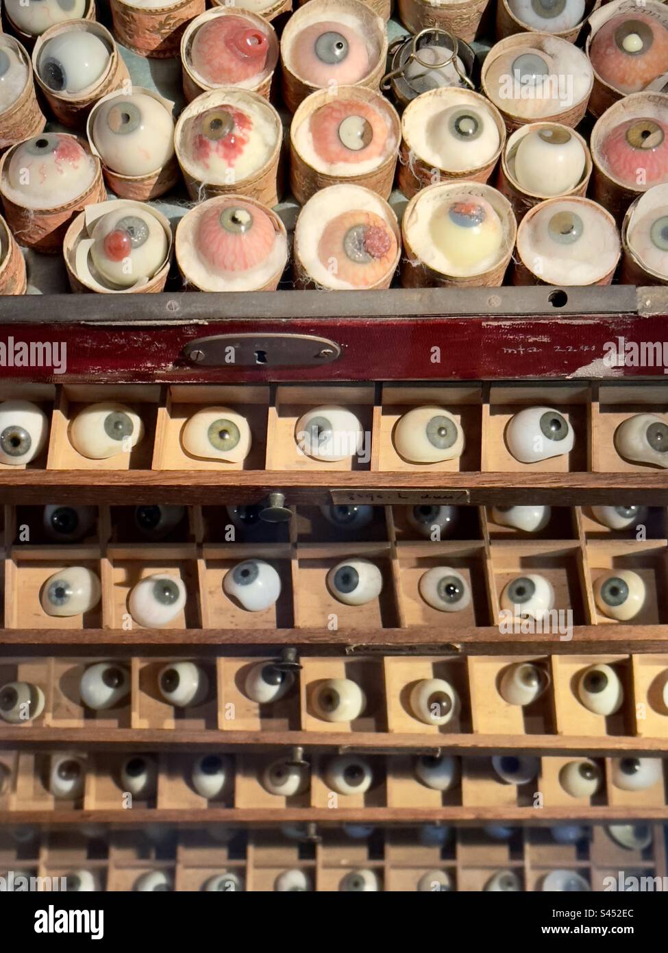 Ein Schrank mit Schalen aus Glasaugen, die verschiedene Erkrankungen und Zustände des Auges zeigen, verwendet für Unterrichtszwecke im Museum der Wissenschaftsgeschichte in Leiden Stockfoto