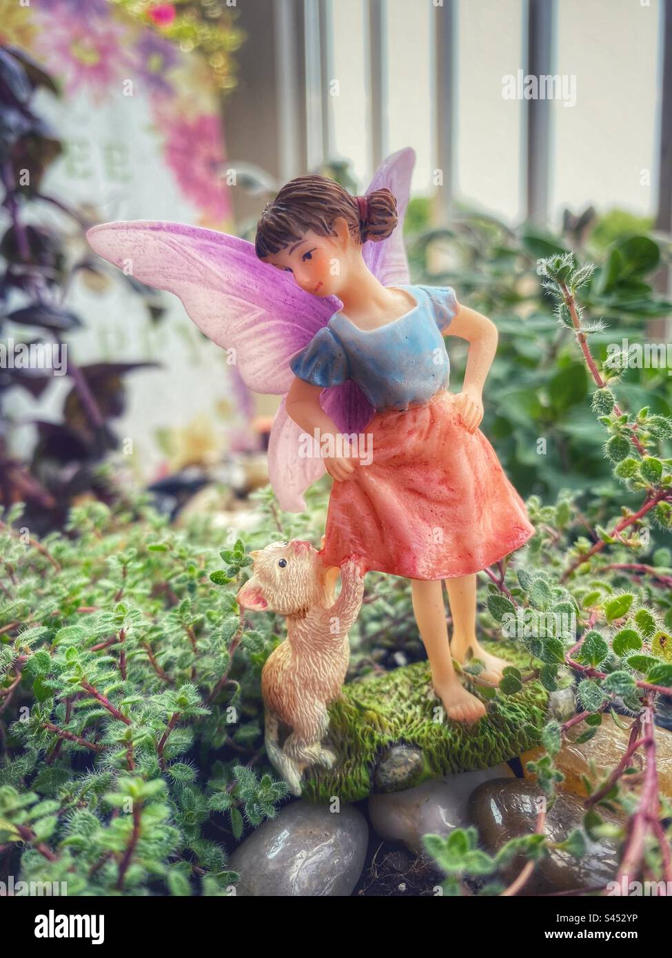Eine Fee mit einem Kätzchen in einem Kräutergarten. Stockfoto