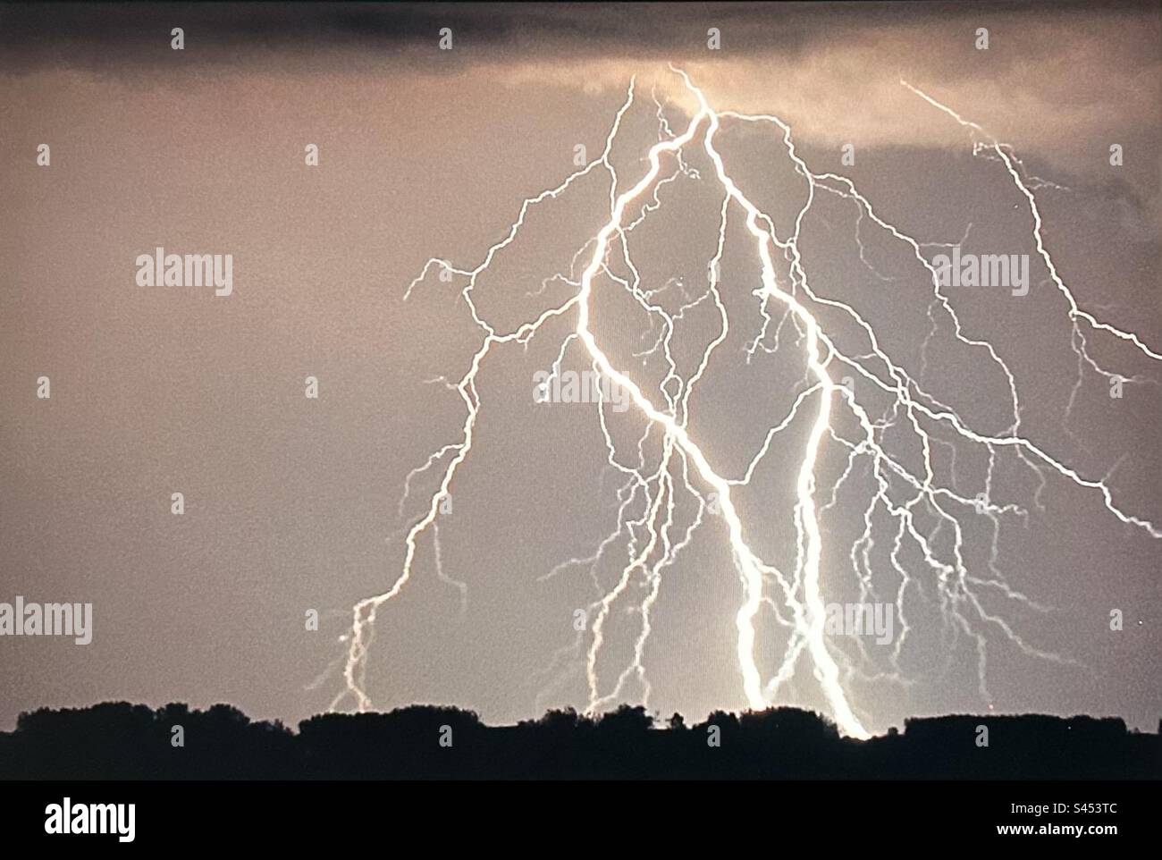 Muster in der Natur, Blitz, Alberta, Kanada, Prärie Stockfoto