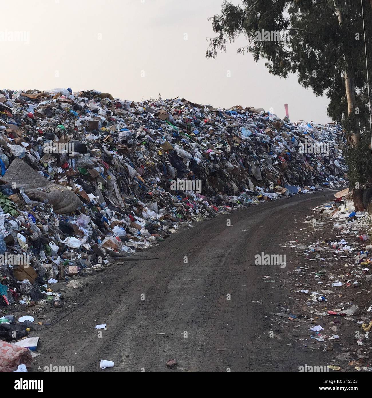Ungesammelter Müll in Beirut - Smartphone-aufgenommenes Stockfoto