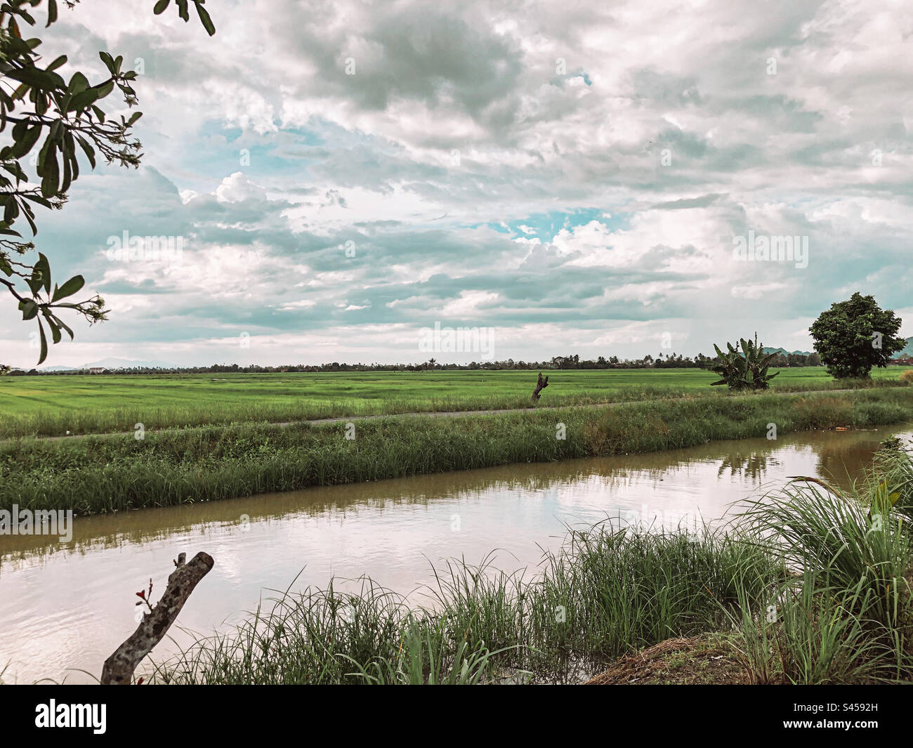 Künstlicher Fluss, der das Reisfeld mit Wasser versorgt Stockfoto