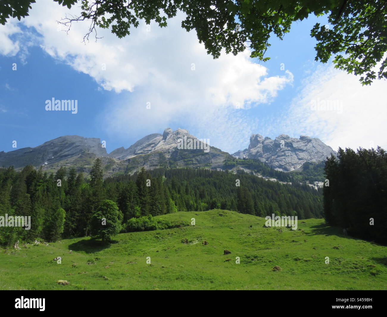 Alpenpanorama! Die Schweiz! - Smartphone-aufgenommenes Stockfoto
