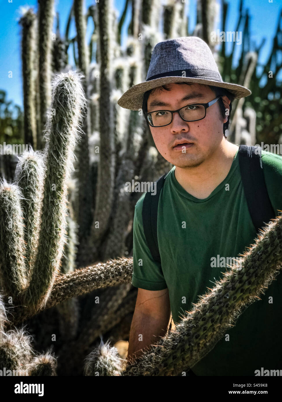 Porträt eines jungen Asiaten mit Brille und Hut, der zwischen Klumpen hoher, dünner Kakteen vor blauem Himmel steht. Stockfoto