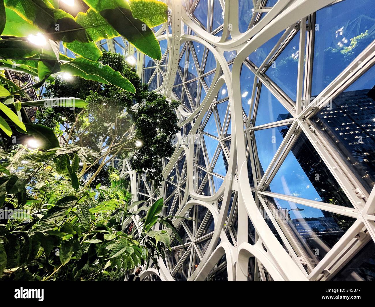 In einer der Amazonaskugeln in Seattle - Smartphone-aufgenommenes Stockfoto