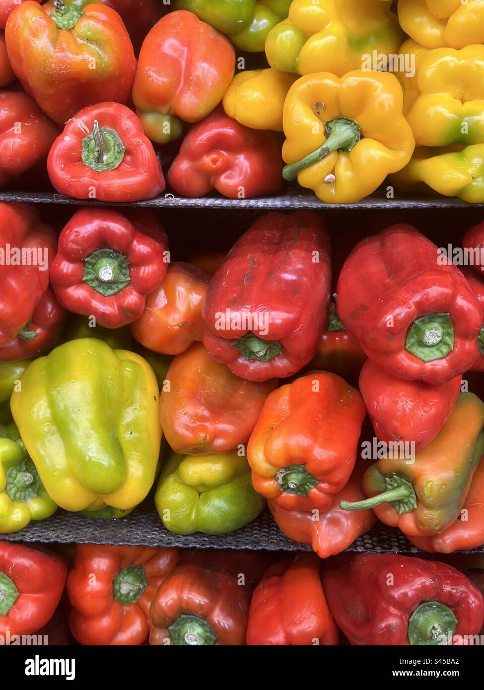 Gelbe und rote Paprika im Supermarkt Stockfoto