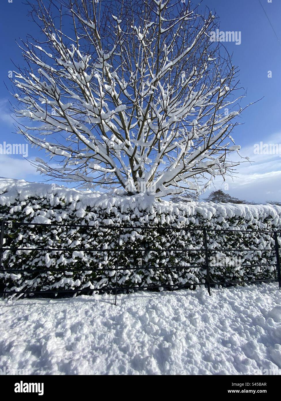 Tief liegend, Schnee in den Sperrin Bergen, Grafschaft Derry, Nordirland Stockfoto