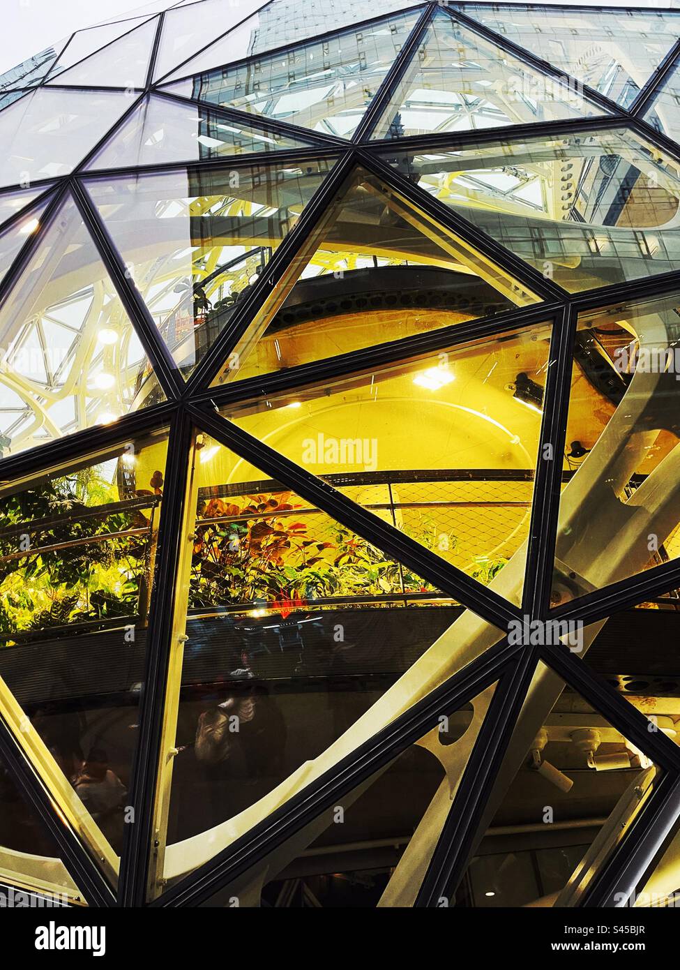 Werfen Sie einen Blick in die Amazonaskugeln in seattle - Smartphone-aufgenommenes Stockfoto