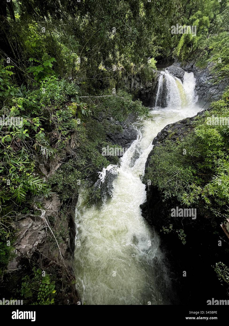 Hawaii Wasserfall auf der Straße nach hana Stockfoto