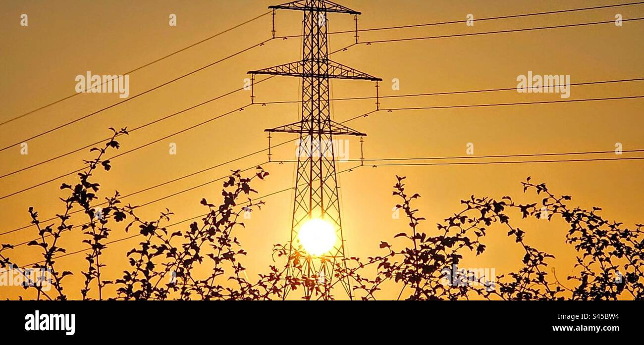 Elektrizitätspylon in der Sonne Stockfoto