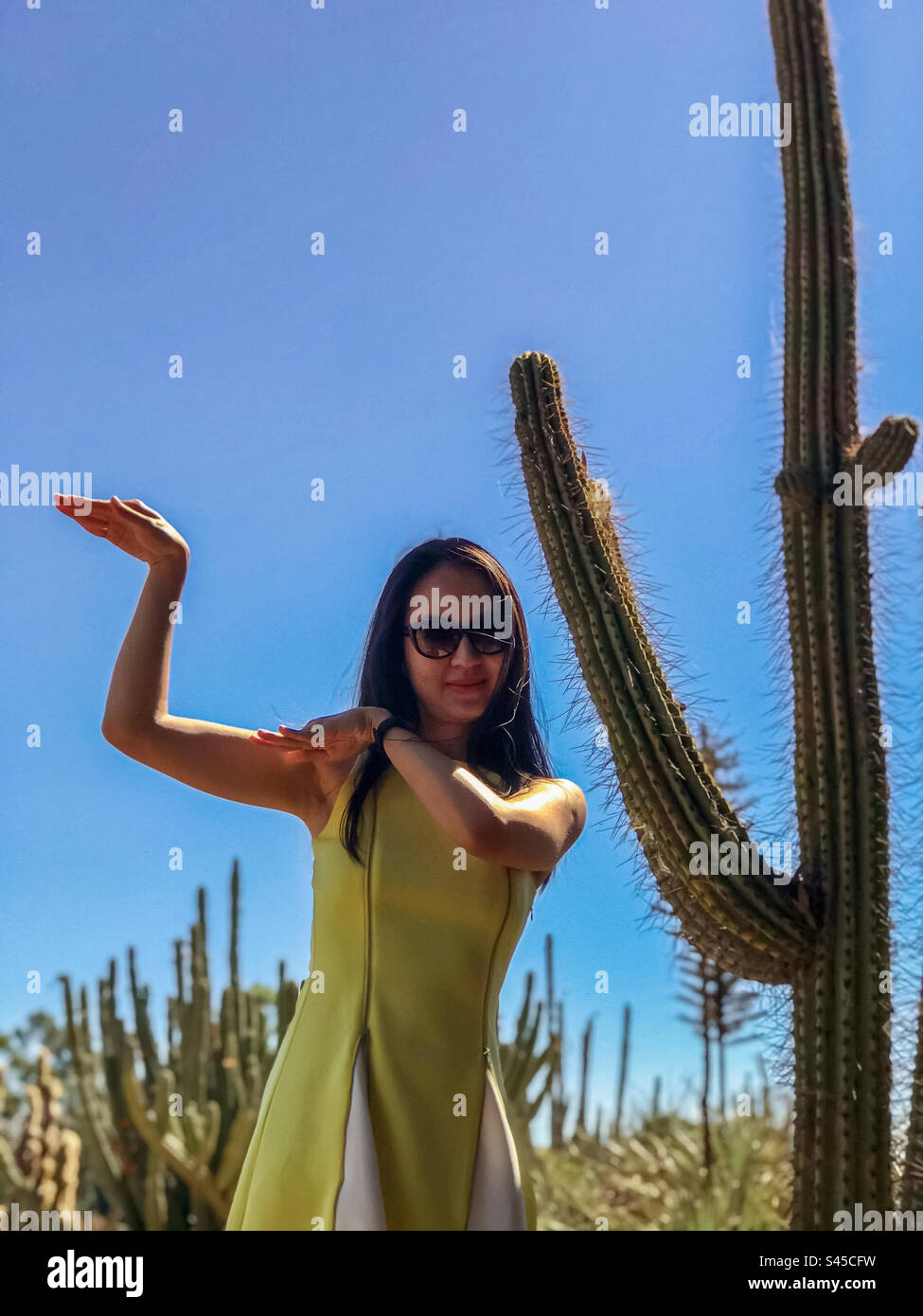 Lächelnd, langhaarig, junge Frau in Sonnenbrille und gelbem Kleid, die neben einem großen, dünnen Kaktus posiert, an klarem blauem Himmel und Kakteen. Mode. - Smartphone-aufgenommenes Stockfoto