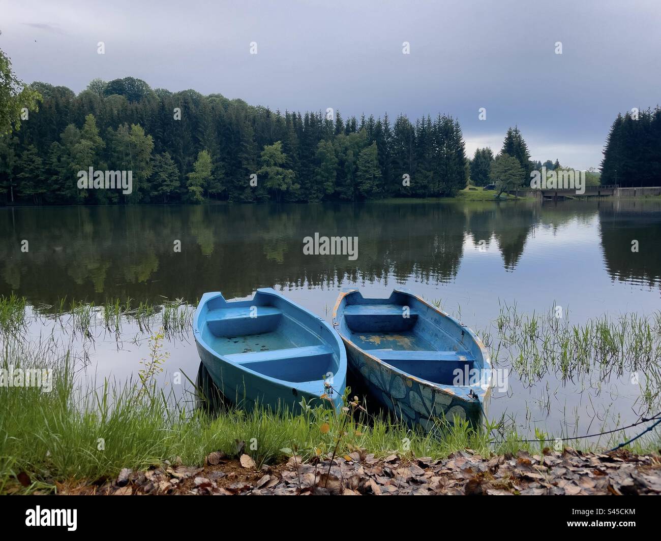 Zwei blaue Holzboote auf einem See, umgeben von Nadelbäumen - Smartphone-aufgenommenes Stockfoto