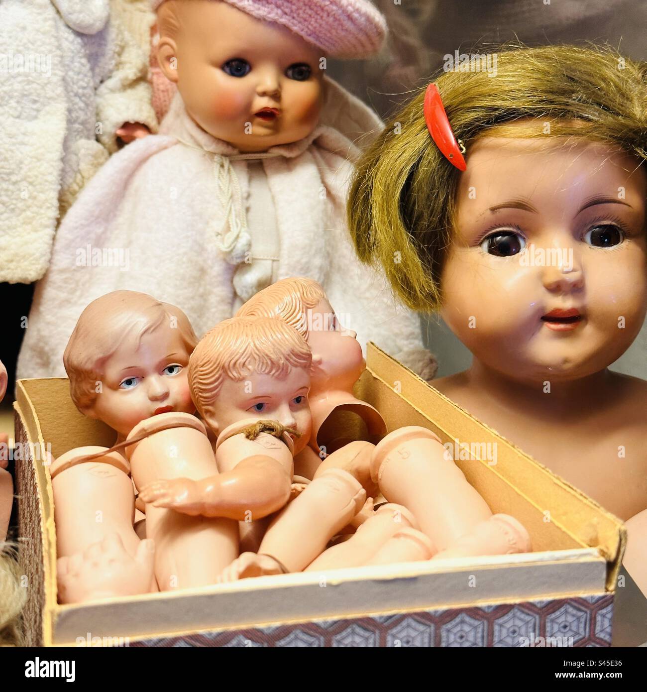 Puppenköpfe und verschiedene Körperteile im Spielzeugmuseum auf der Insel Suomenlinna in Helsinki - lelumuseo Stockfoto