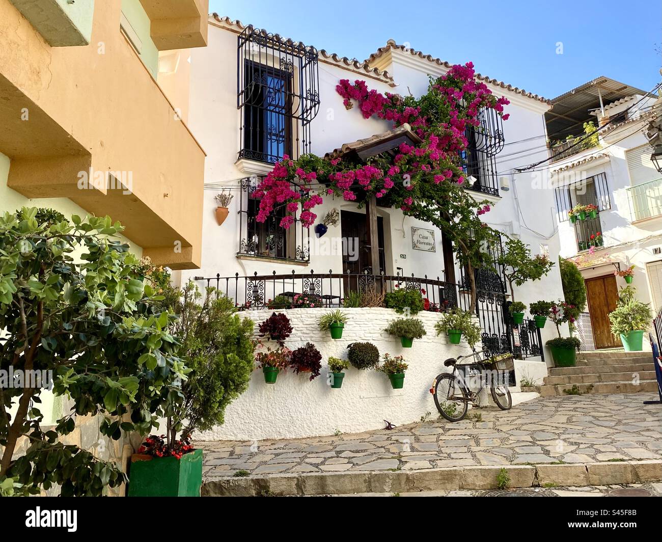 Wunderschöne Blumenausstellung auf den Straßen von Estepona in Spanien Stockfoto