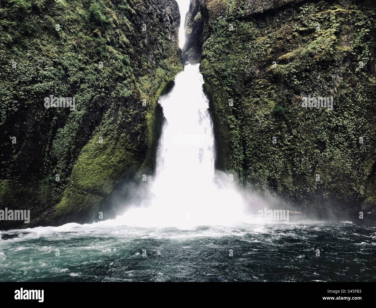 Wasserfall in Oregon Stockfoto