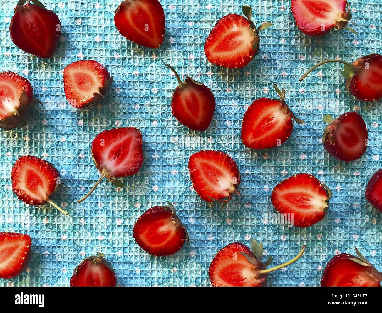 Rote Erdbeere auf blauem Hintergrund Stockfoto