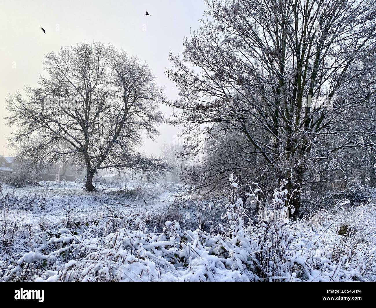 Eine kalte, aber wunderschöne Winterszene nach heftigem Schneefall in der englischen Landschaft im Winter Stockfoto