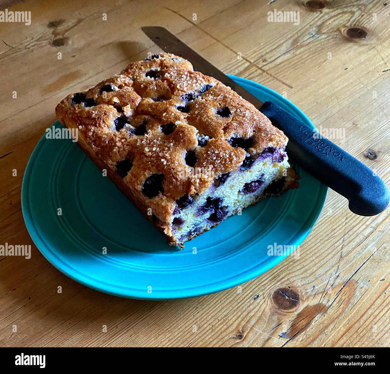 Blaubeerkuchen auf einem blauen Keramikteller Stockfoto