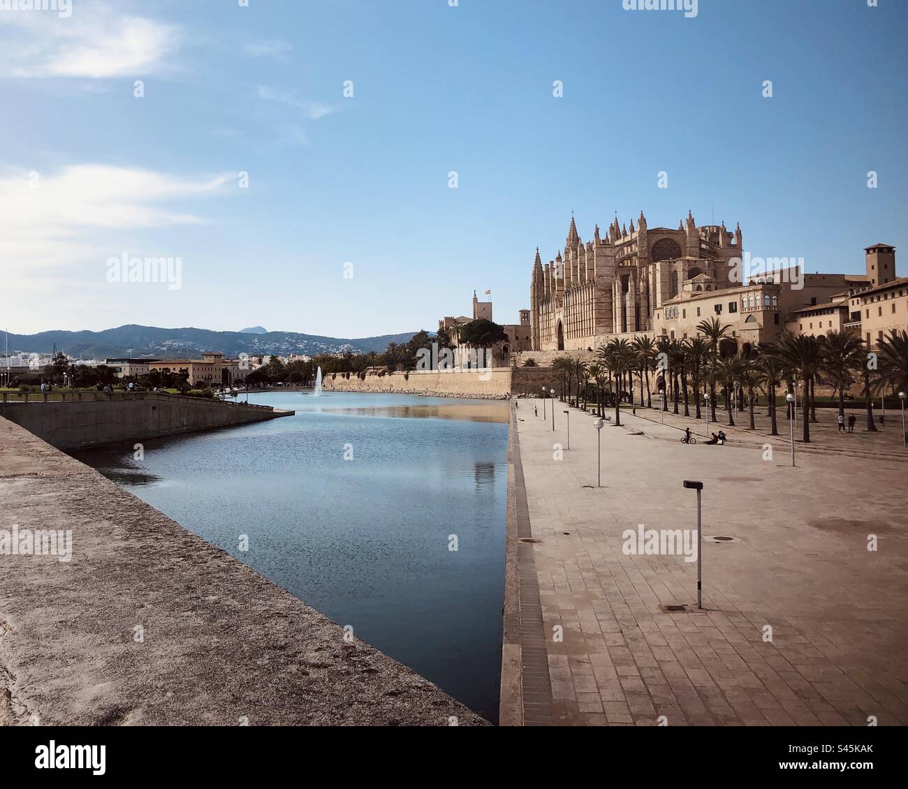 Monumentale Kathedrale La Seu von Palma de Mallorca vom Parc del mar aus gesehen in diagonaler Linie Stockfoto