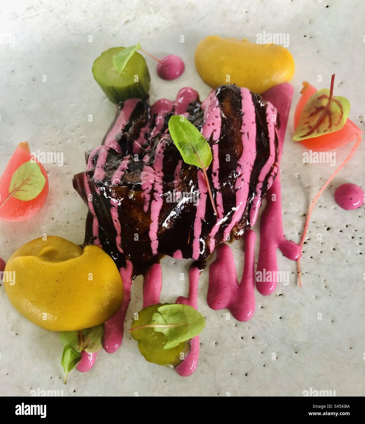 Farbenfrohe Vorspeise mit rosafarbenen Linien und Sauce mit Michelin-Stern - Smartphone-aufgenommenes Stockfoto