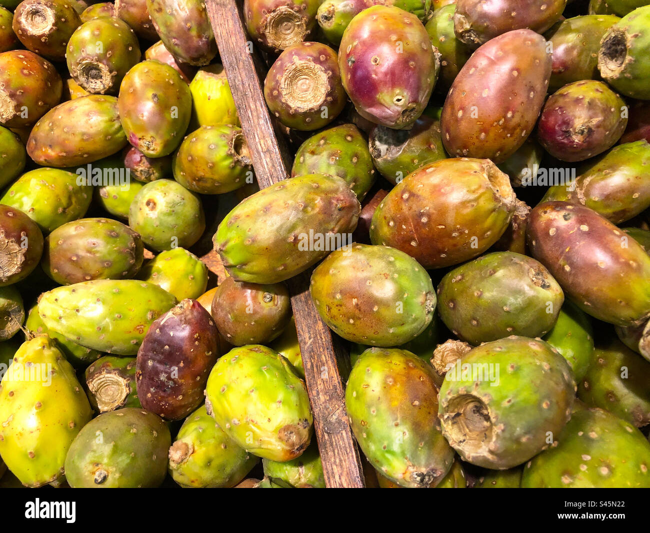 Kaktusbirnen auf einem Markt in Atlanta, Georgia, USA. Stockfoto