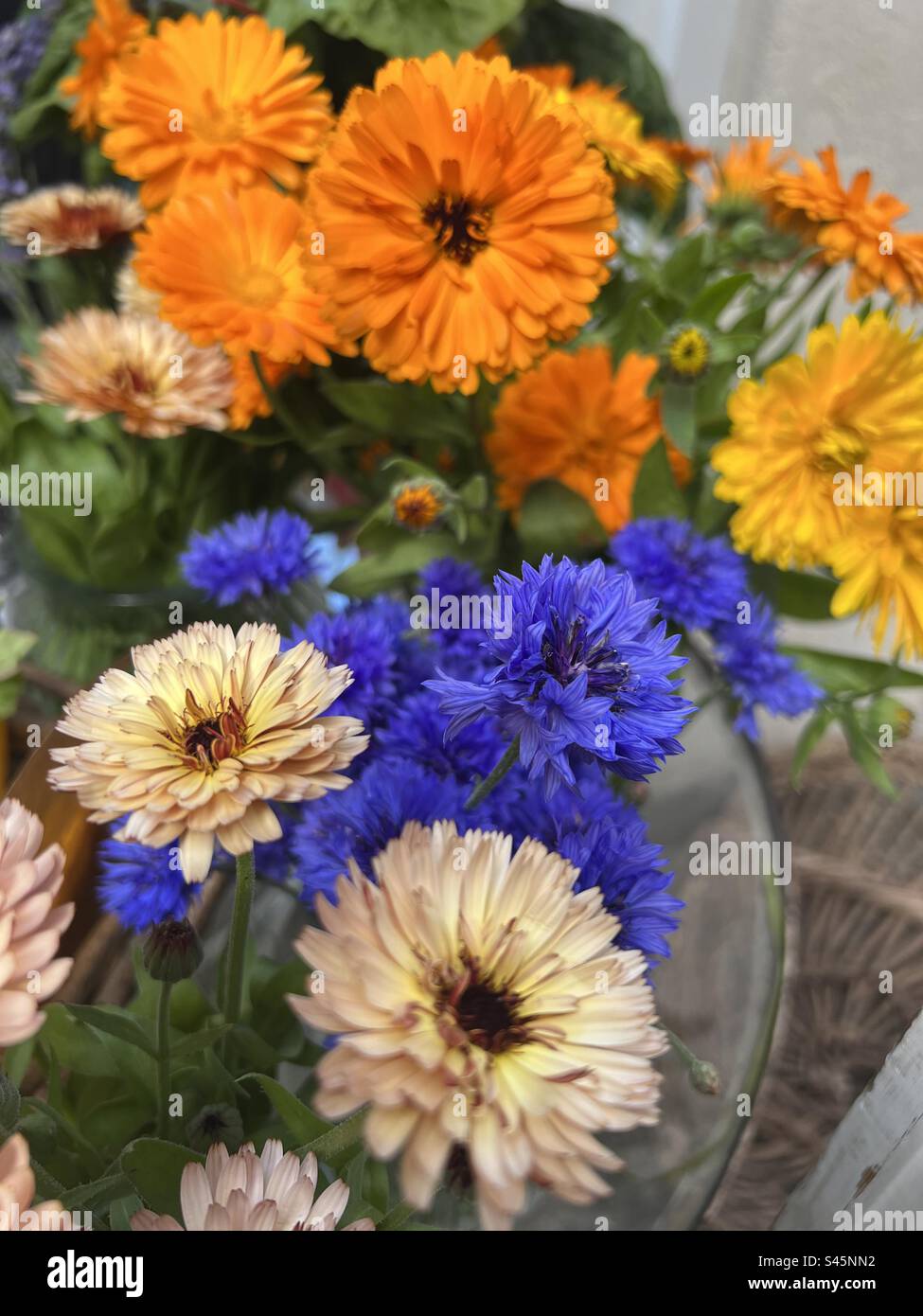 Blumenarrangements in Lila und Orange Stockfoto